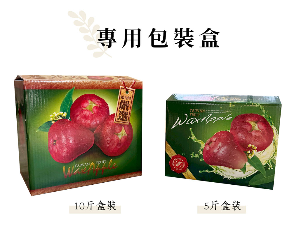 蓮霧宅配出貨包裝